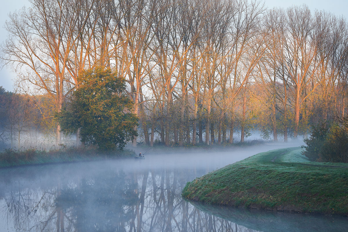 Dommel