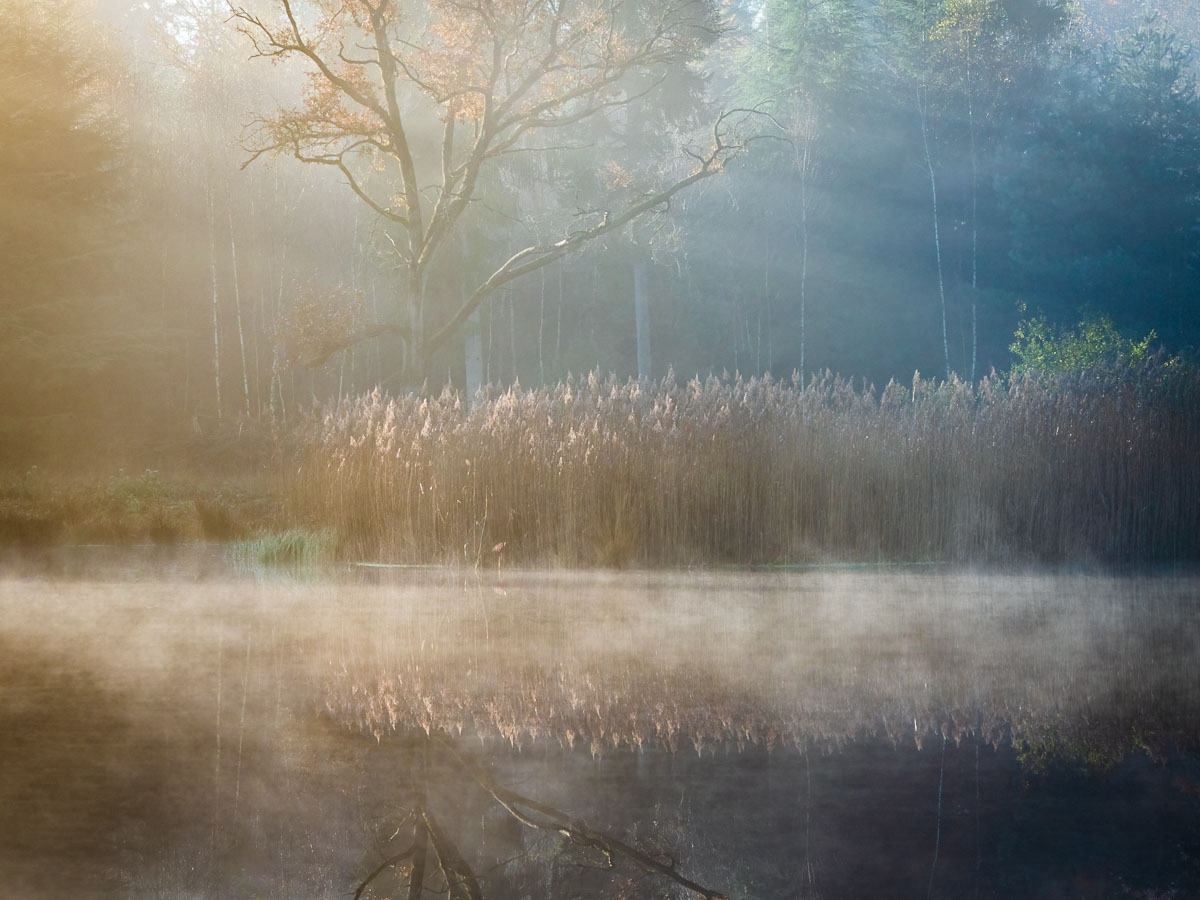 20211105  DSC1023 bewerkt