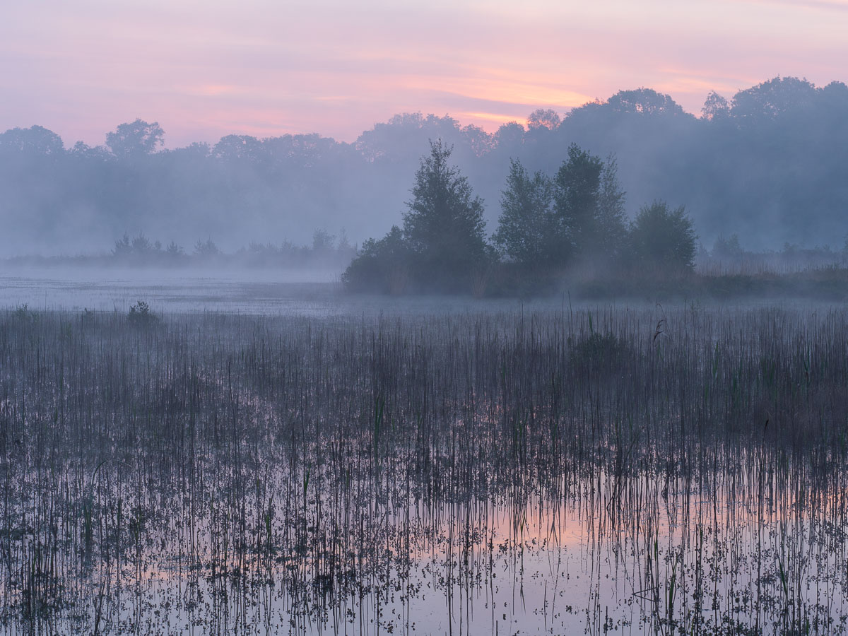 Kampina