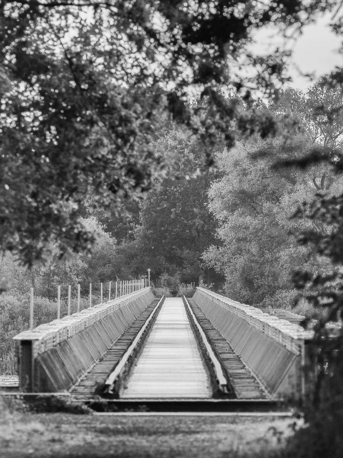 DSC01320 bewerkt